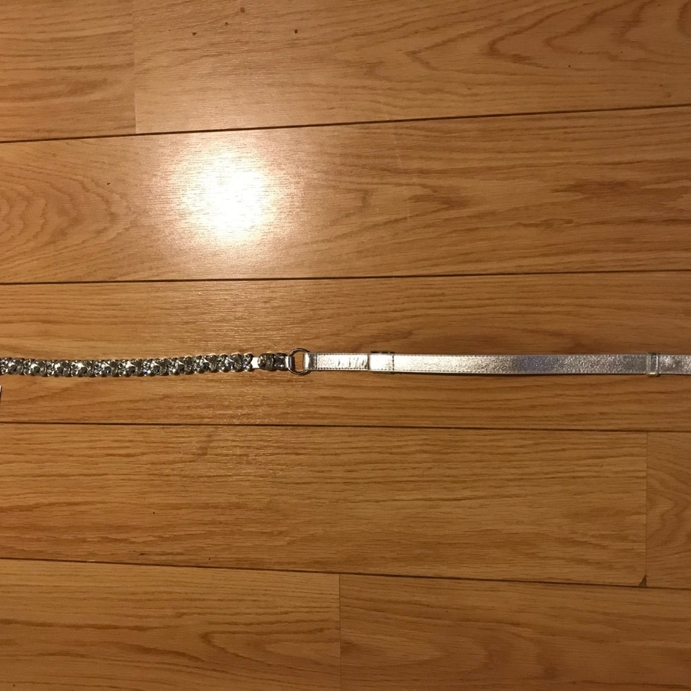 silver belt